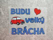 Nažehlovačka s motivem Budu velký brácha auto