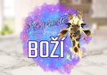 Sportovní lahev Jsi prostě Boží