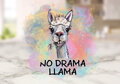 Termoska s bambusovým víčkem NO DRAMA LLAMA