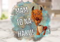 Termoska Kuželka Mám to na háku lama