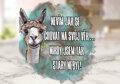 Plecháček Nikdy jsem tak starý nebyl