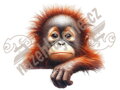 Nažehlovačka Orangutan