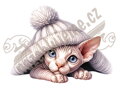 Nažehlovačka Sphynx kočka