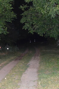 Reflexní nažehlovací obrázek