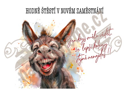 Samolepka Hodně štěstí v novém zaměstnání ONA