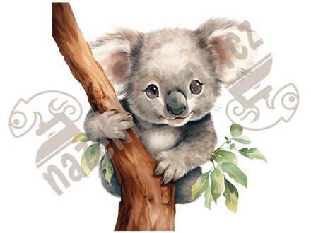 Nažehlovačka Koala