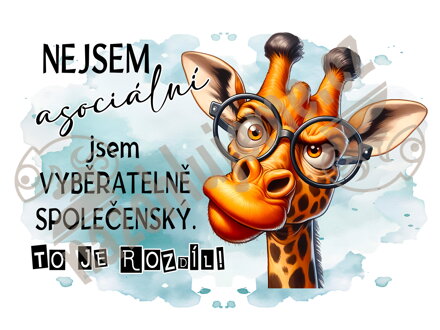 Samolepka Nejsem asociální