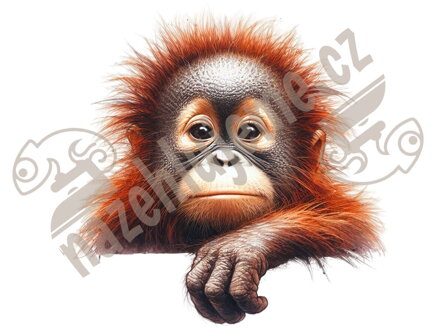 Nažehlovačka Orangutan