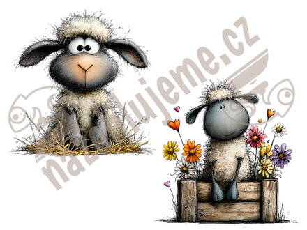 Samolepka Ovečky