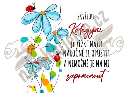 Samolepka Skvělá kolegyně