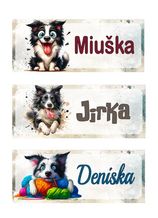 Nažehlovací jmenovka Border Collie
