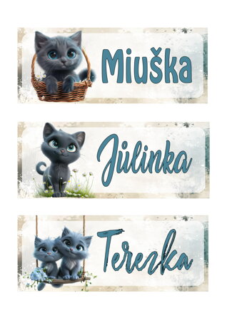 Nažehlovací jmenovka Mourek