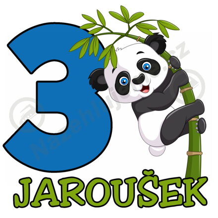 Narozeninová nažehlovačka Panda