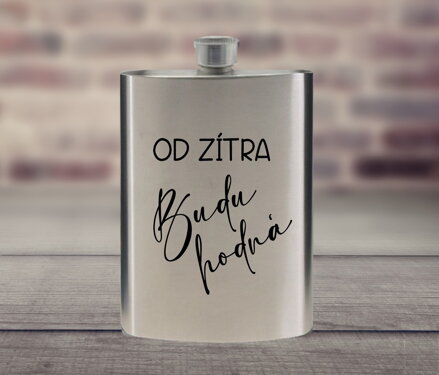 Placatka nerez Od zítra budu hodná