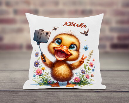 Polštář Kačenky