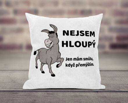 Polštář Nejsem hloupý