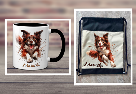 Sada 4 Border Collie