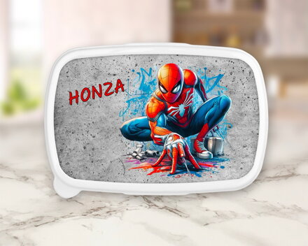 Plastový box 2 Pavoučí muž