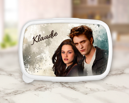 Plastový box 2 Twilight saga