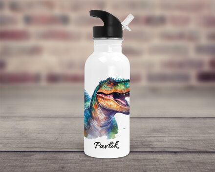 Sportovní lahev Dinosauři