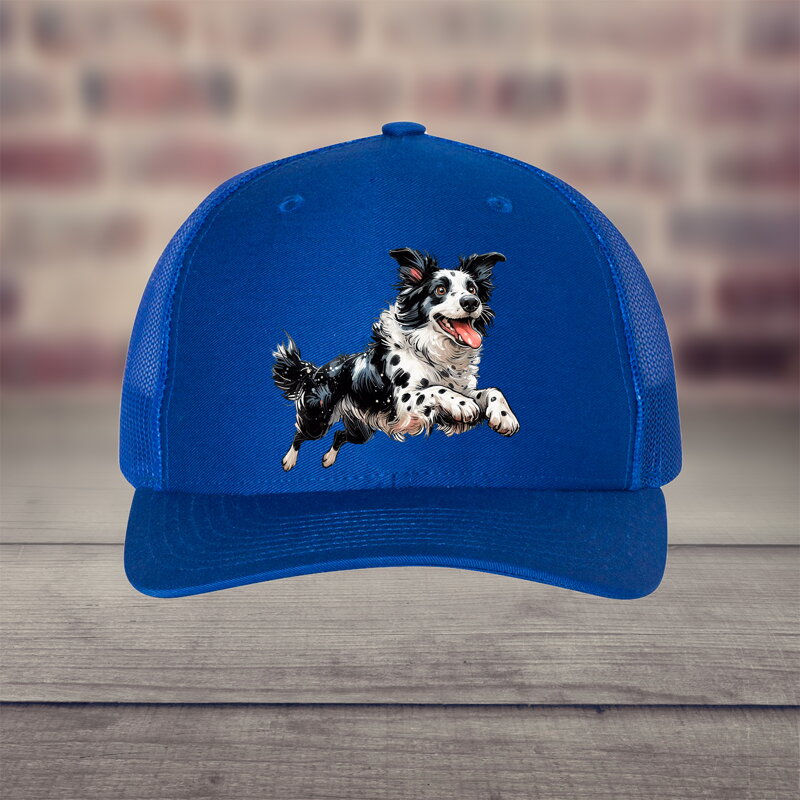 Kšiltovka Border collie
