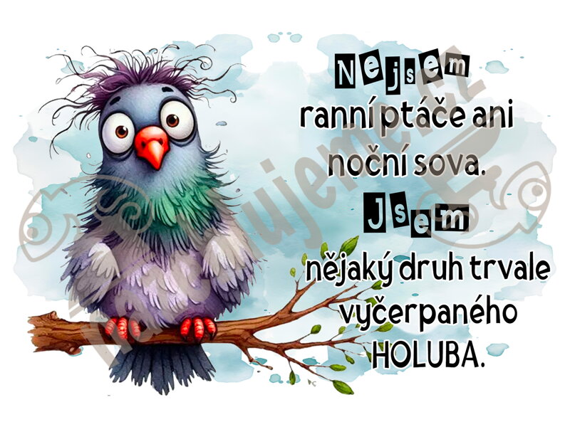 Samolepka Vyčerpaný holub ON