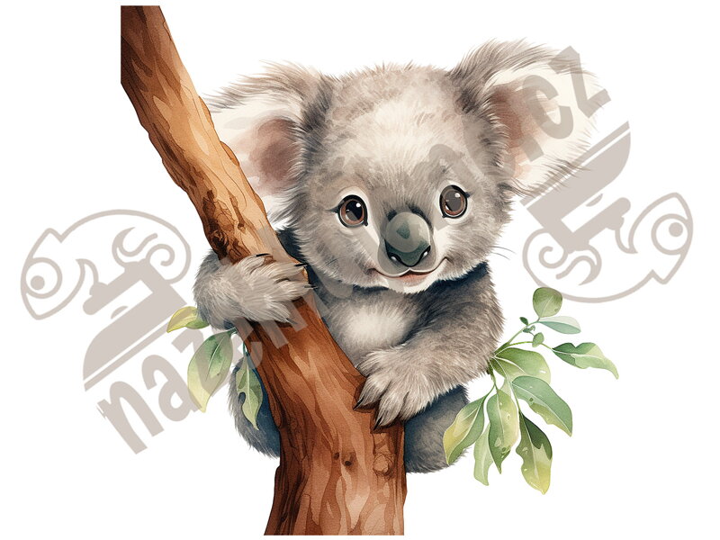 Nažehlovačka Koala Nažehlovačka Koala