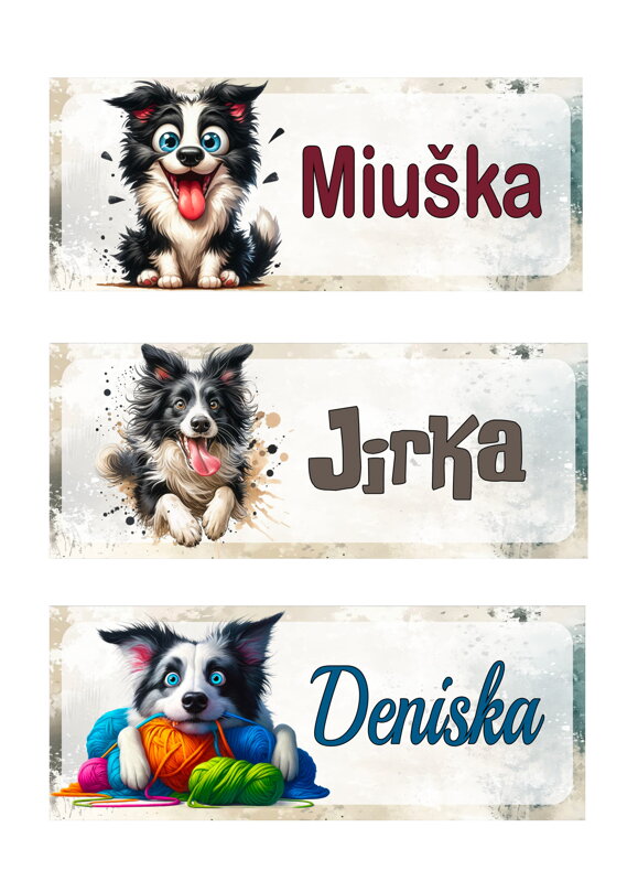 Nažehlovací jmenovka Border Collie