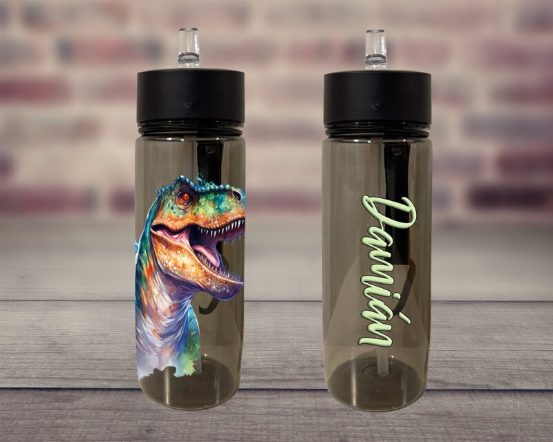 Plastová lahev s pítkem Dinosauři