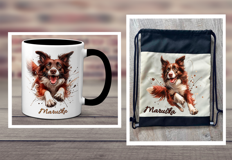 Sada 4 Border Collie