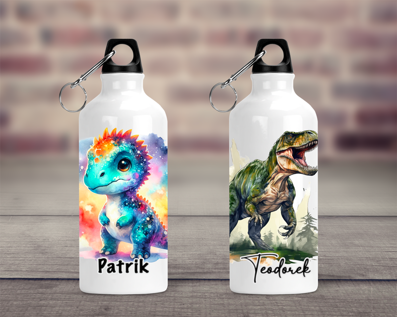 Cestovní hliníková lahev Dinosauři
