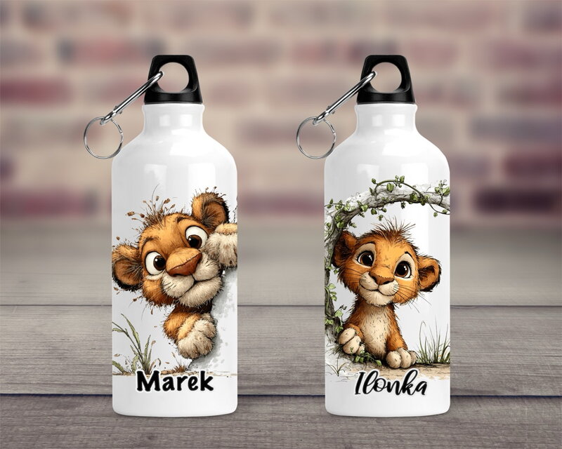 Cestovní hliníková lahev Lvíček 2